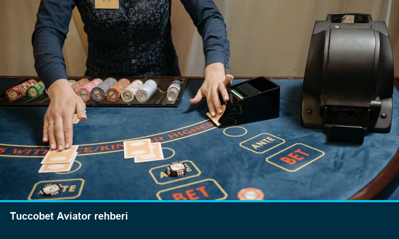 Tuccobet Aviator rehberi