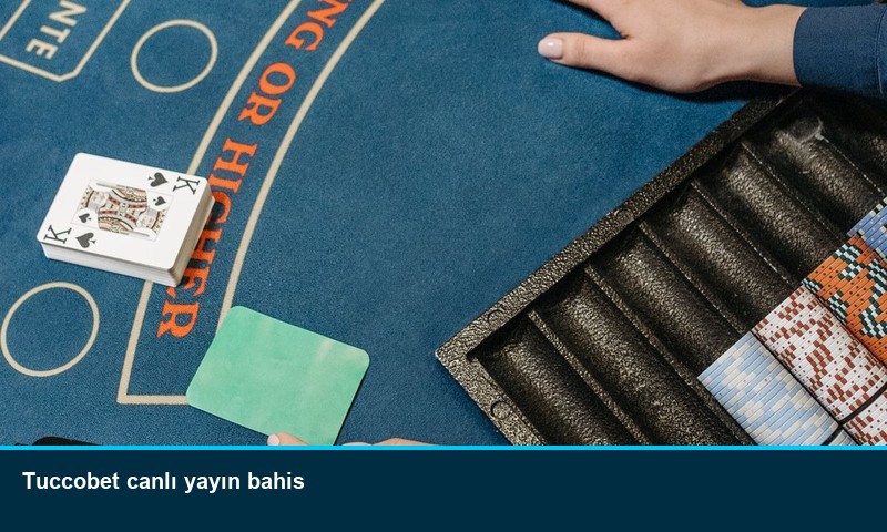 Tuccobet canlı yayın bahis